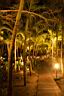 HoneyMoon 581.jpg